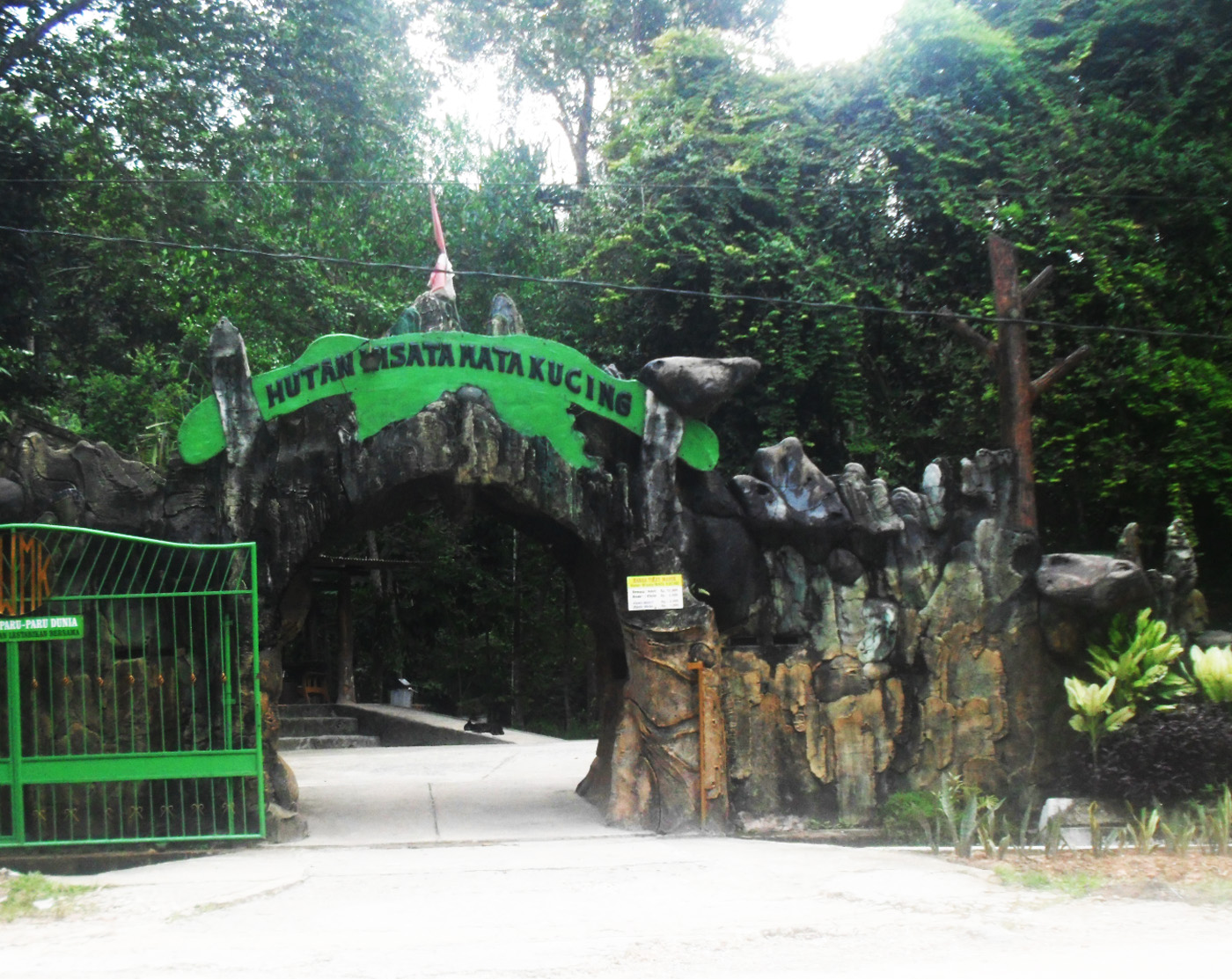 Hutan Wisata Mata Kucing, Keunikan Kebun Binatang Di Dalam Hutan - Tempat.me