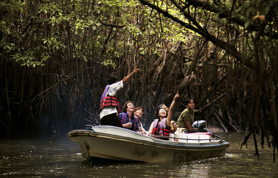 Bintan Mangrove : Harga Tiket, Foto, Lokasi, Fasilitas dan Spot