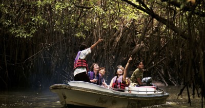 Bintan Mangrove : Harga Tiket, Foto, Lokasi, Fasilitas dan Spot