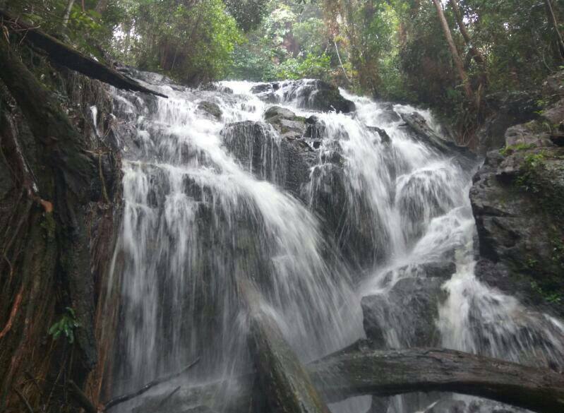 Air Terjun Jelutung : Harga Tiket, Foto, Lokasi, Fasilitas dan Spot