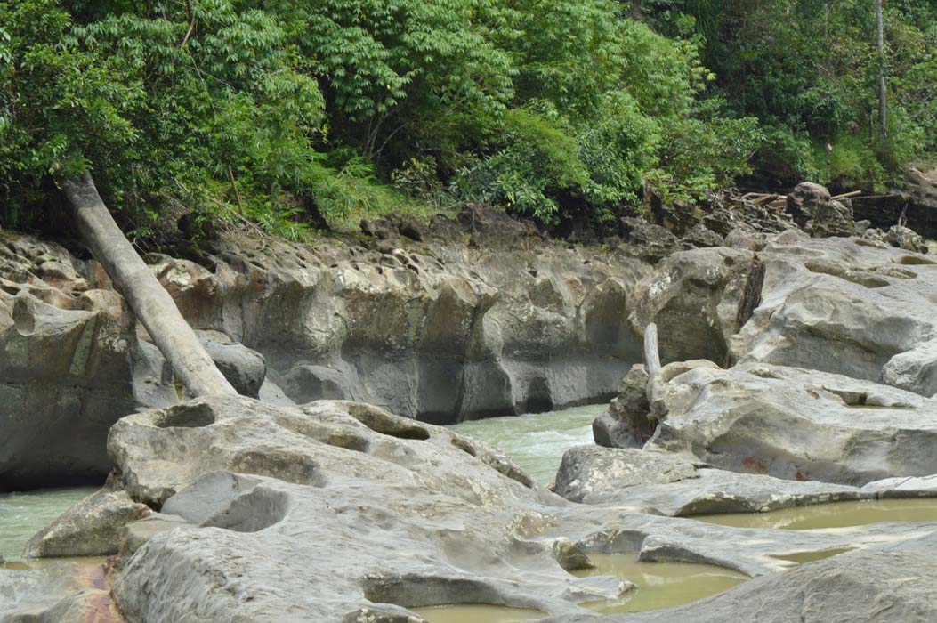 Taman Wisata Kuala Paret Aceh Tamiang