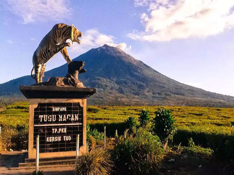 Gunung Kerinci : Harga Tiket, Foto, Lokasi, Fasilitas dan Spot