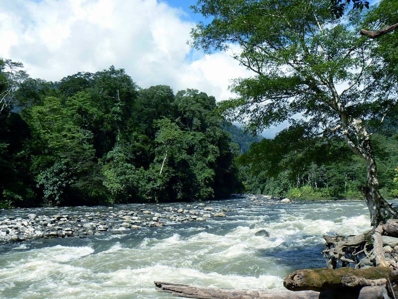 Sungai Alas : Harga Tiket, Foto, Lokasi, Fasilitas dan Spot