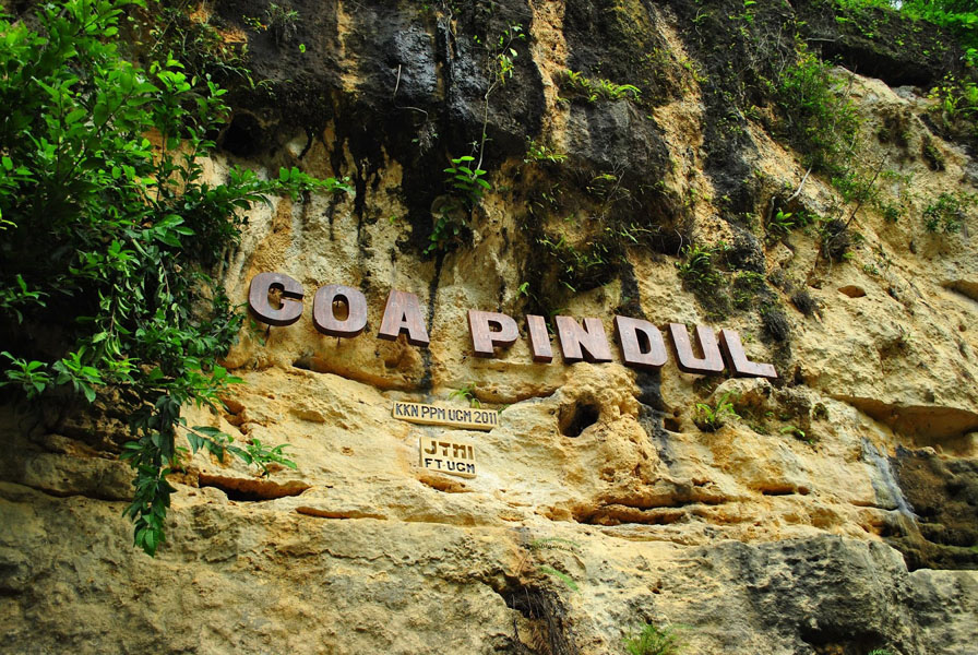 Goa Pindul, Goa Dengan Sensasi Cave Tubing Menantang