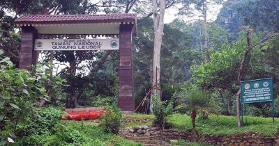 Taman Nasional Gunung Leuser : Harga Tiket, Foto, Lokasi, Fasilitas dan Spot