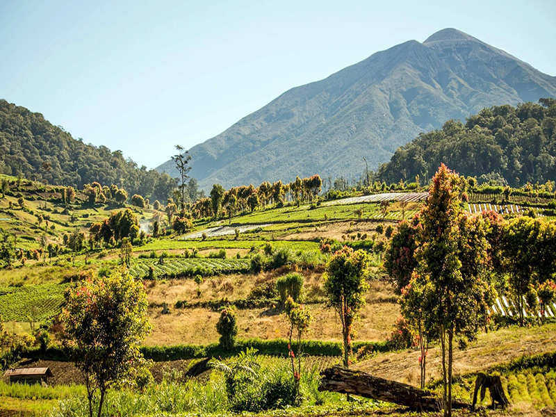 Taman Nasional Kerinci Seblat : Harga Tiket, Foto, Lokasi, Fasilitas dan Spot