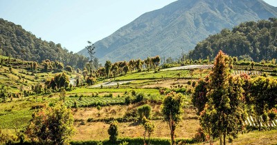 Taman Nasional Kerinci Seblat : Harga Tiket, Foto, Lokasi, Fasilitas dan Spot