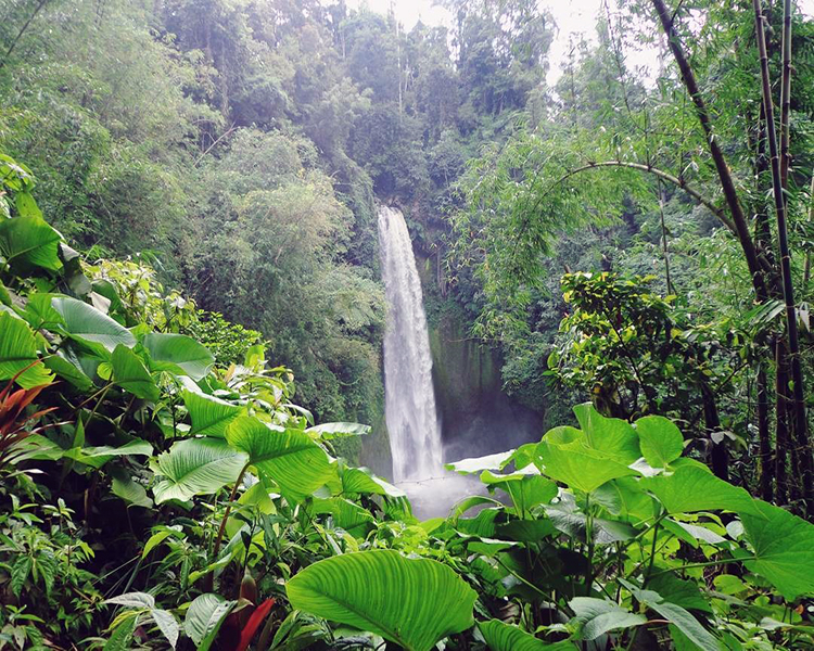 Air Terjun Dukun Betuah : Harga Tiket, Foto, Lokasi, Fasilitas dan Spot