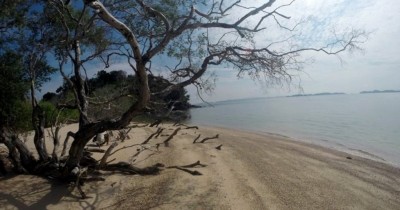Menjelajaihi Pulau Biola dan Menikmati Taman Laut Terindah Di Indonesia