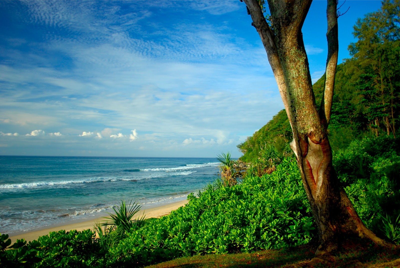 Pantai Momong : Harga Tiket, Foto, Lokasi, Fasilitas dan Spot