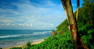 Pantai Momong : Harga Tiket, Foto, Lokasi, Fasilitas dan Spot