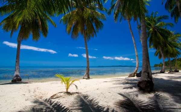Pulau Benan : Harga Tiket, Foto, Lokasi, Fasilitas dan Spot