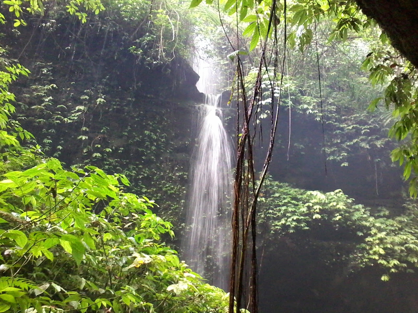 Air Terjun Lereng Raung : Harga Tiket, Foto, Lokasi, Fasilitas dan Spot