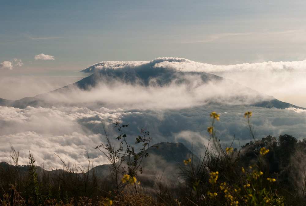 Gunung Butak : Harga Tiket, Foto, Lokasi, Fasilitas dan Spot