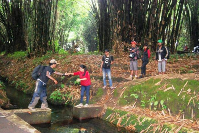 ​​Hutan Bambu​ : Harga Tiket, Foto, Lokasi, Fasilitas dan Spot