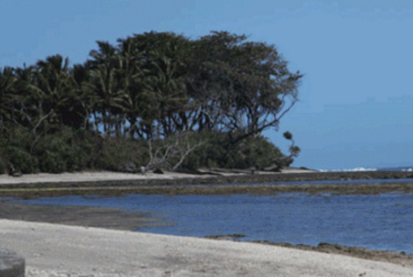 Pantai Pamayangsari : Harga Tiket, Foto, Lokasi, Fasilitas dan Spot