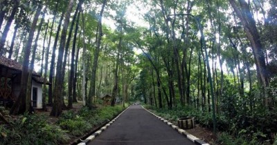 Taman Hutan Raya Juanda : Harga Tiket, Foto, Lokasi, Fasilitas dan Spot