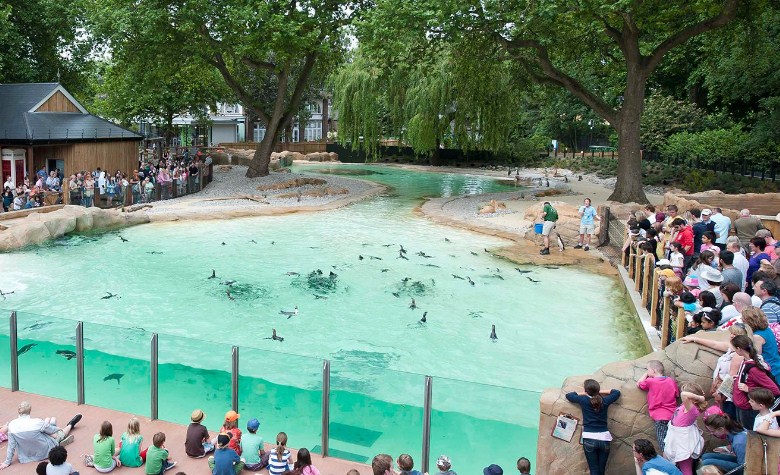 Penguin Waterpark : Harga Tiket, Foto, Lokasi, Fasilitas dan Spot