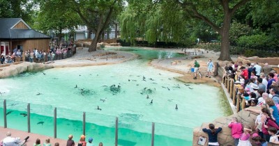 Penguin Waterpark : Harga Tiket, Foto, Lokasi, Fasilitas dan Spot