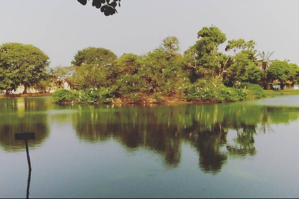 Taman Burung Sukamandi : Harga Tiket, Foto, Lokasi, Fasilitas dan Spot