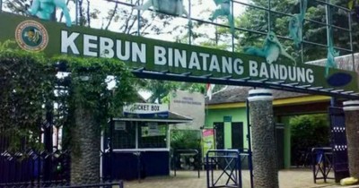 Kebun Binatang Bandung : Harga Tiket, Foto, Lokasi, Fasilitas dan Spot