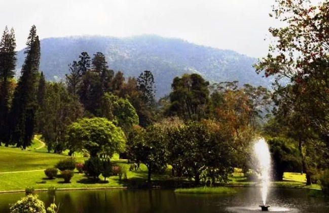 Kebun Raya Cibodas, Taman Firdaus di Asia Tempat.me