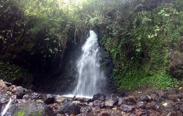 Curug Citiis : Harga Tiket, Foto, Lokasi, Fasilitas dan Spot