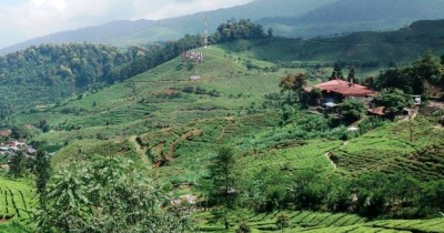 Agro Gunung Mas : Harga Tiket, Foto, Lokasi, Fasilitas dan Spot