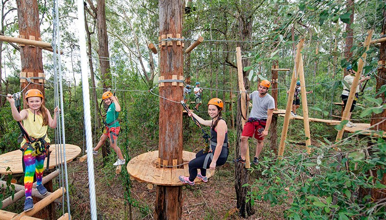 Treetop Adventure Park : Harga Tiket, Foto, Lokasi, Fasilitas dan Spot