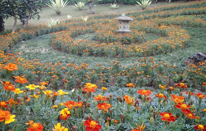 Melrimba Garden : Harga Tiket, Foto, Lokasi, Fasilitas dan Spot