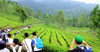 Taman Riung Gunung : Harga Tiket, Foto, Lokasi, Fasilitas dan Spot