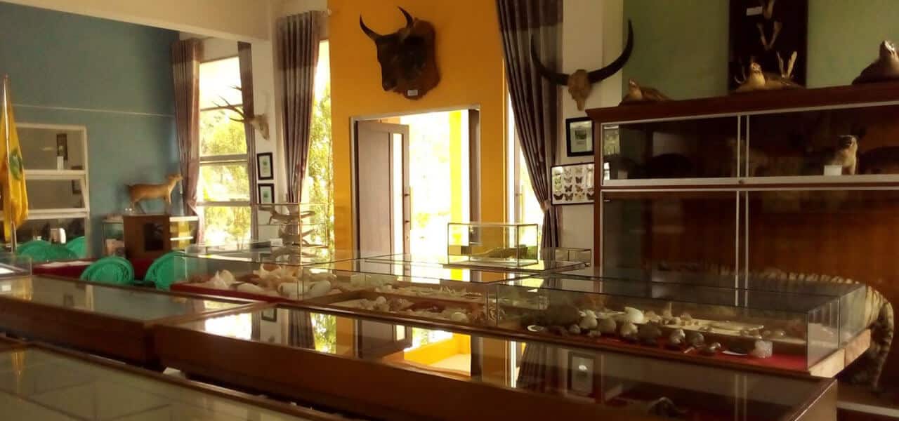 Museum Zoologi Frater : Harga Tiket, Foto, Lokasi, Fasilitas dan Spot