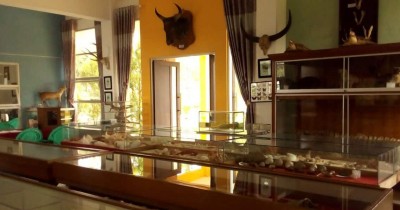 Museum Zoologi Frater : Harga Tiket, Foto, Lokasi, Fasilitas dan Spot