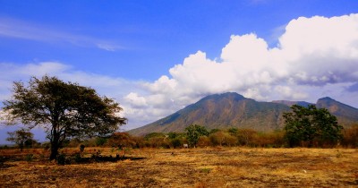 Savana Bekol : Harga Tiket, Foto, Lokasi, Fasilitas dan Spot