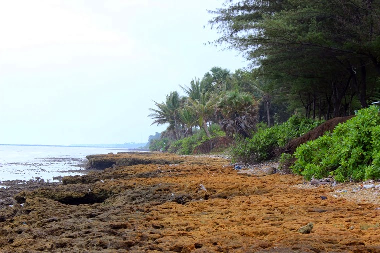 Pantai Batu Kerbuy : Harga Tiket, Foto, Lokasi, Fasilitas dan Spot