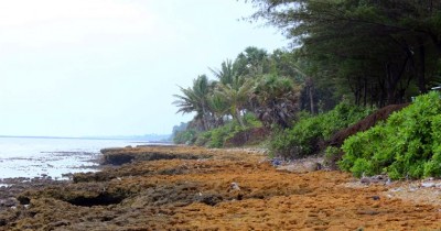 Pantai Batu Kerbuy : Harga Tiket, Foto, Lokasi, Fasilitas dan Spot