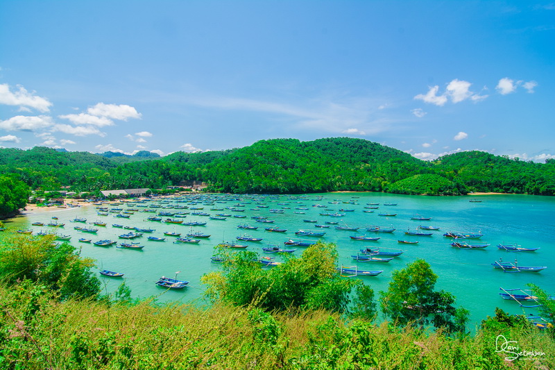 Pantai Tawang di Pacitan : Harga Tiket, Foto, Lokasi, Fasilitas dan Spot