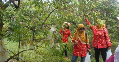 Wisata Agro Karangsari : Harga Tiket, Foto, Lokasi, Fasilitas dan Spot