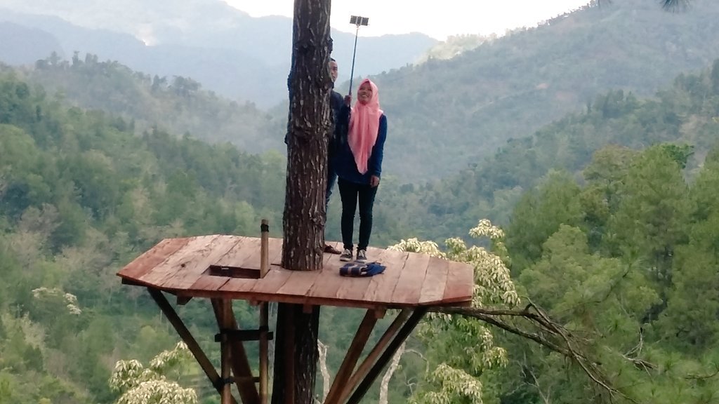 Pinus Kita Gemaharjo : Harga Tiket, Foto, Lokasi, Fasilitas dan Spot