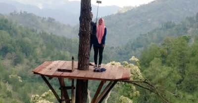 Pinus Kita Gemaharjo : Harga Tiket, Foto, Lokasi, Fasilitas dan Spot