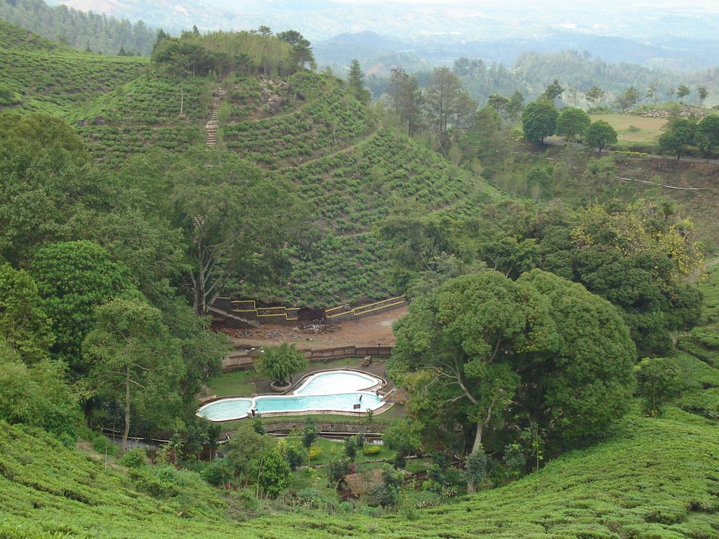Kebun Teh Jamus : Harga Tiket, Foto, Lokasi, Fasilitas dan Spot