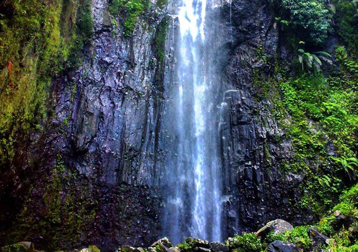 Grojogan Coban Wilis : Harga Tiket, Foto, Lokasi, Fasilitas dan Spot