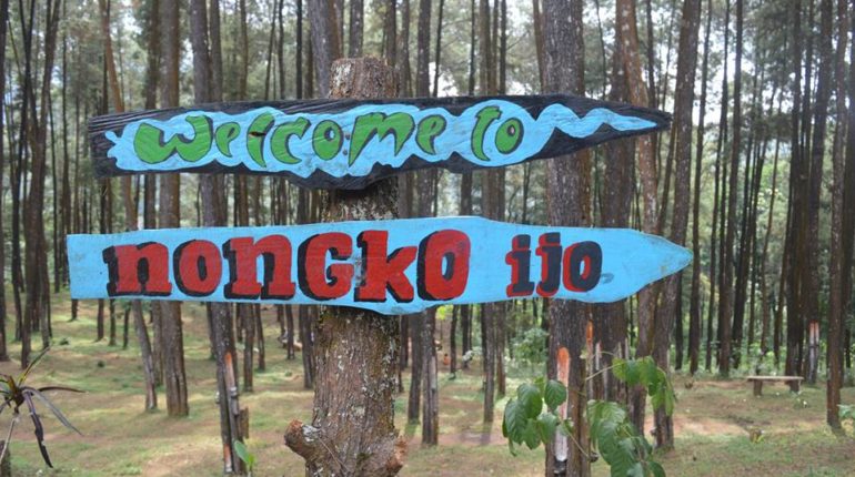 Hutan Pinus Nongko Ijo : Harga Tiket, Foto, Lokasi, Fasilitas dan Spot
