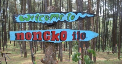 Hutan Pinus Nongko Ijo : Harga Tiket, Foto, Lokasi, Fasilitas dan Spot