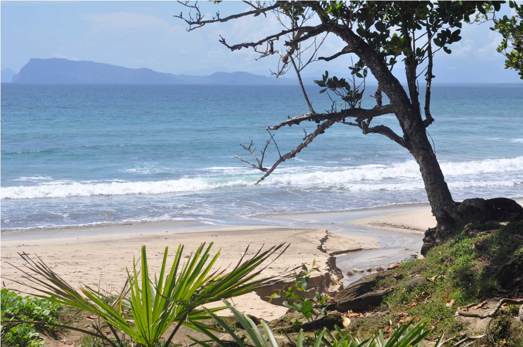 66 Tempat Wisata yang Menarik dan Wajib Dikunjungi di Banyuwangi