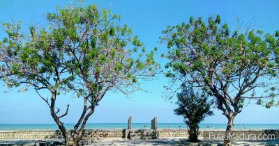 Pantai Camplong, Menikmati Keindahan Salah Satu Wisata Andalan Pulau Madura