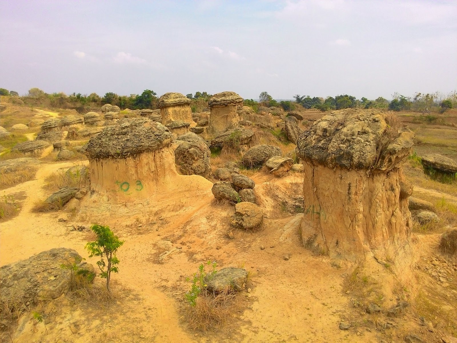 Bukit Jamur Gresik : Harga Tiket, Foto, Lokasi, Fasilitas dan Spot