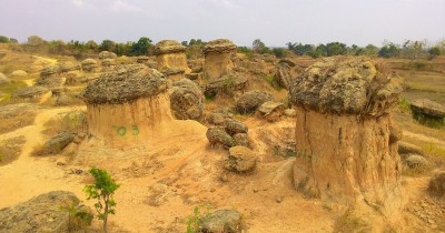 Bukit Jamur Gresik : Harga Tiket, Foto, Lokasi, Fasilitas dan Spot