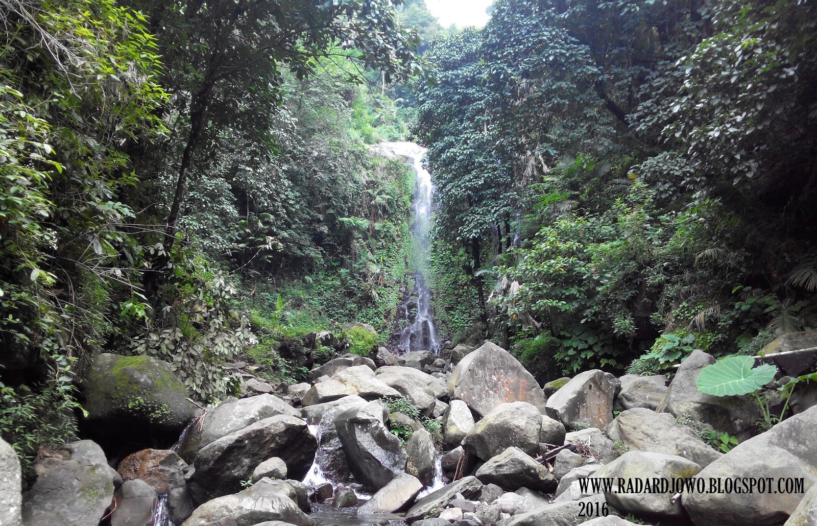 Air Terjun Suwono, Pesona Tersembunyi di Ngawi - Tempat.me