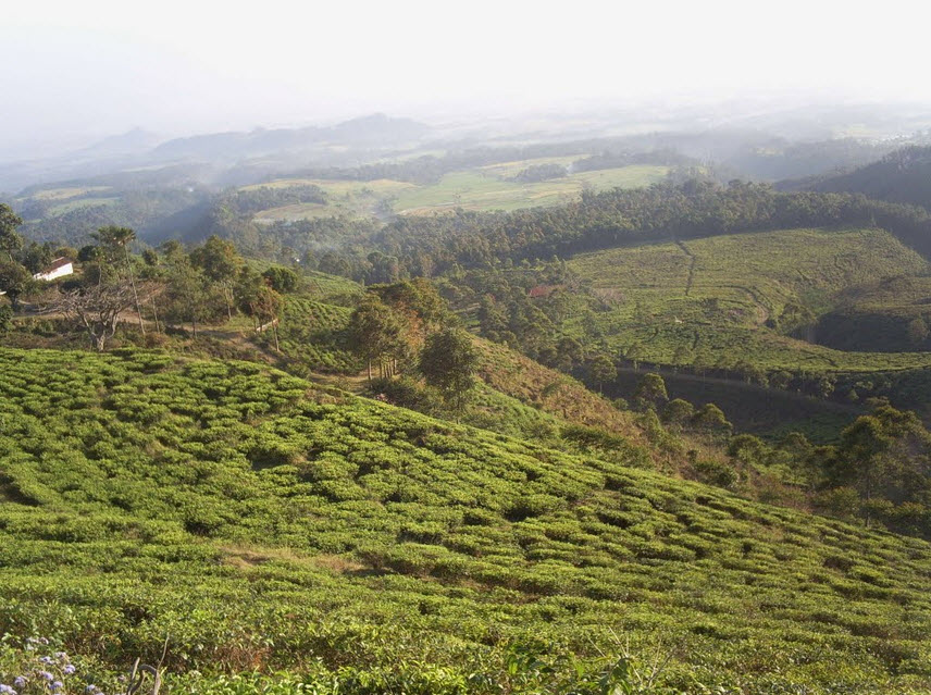 Gunung Liliran : Harga Tiket, Foto, Lokasi, Fasilitas dan Spot